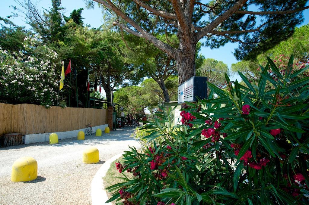 Camping Piper Puntone di Scarlino Exterior photo